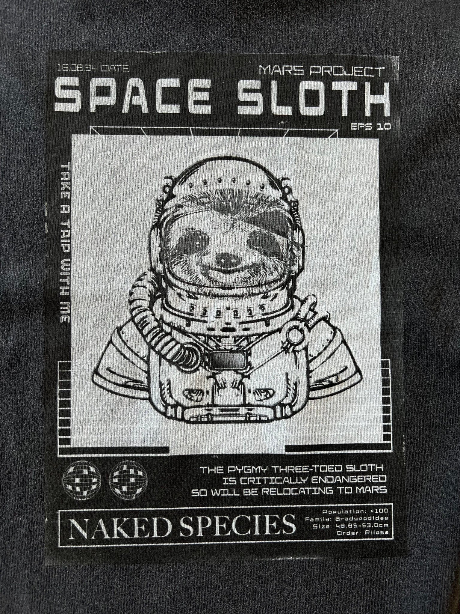 Space Sloth Tee